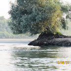 IMG_6450.JPG
