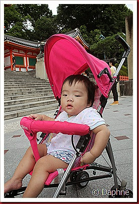 IMG_4877 IMG_4877