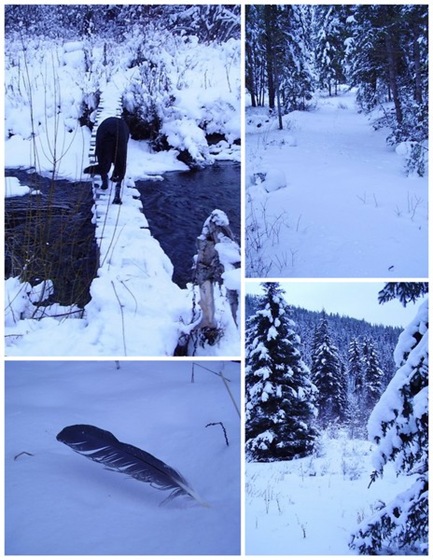 [Collage-Blue-Nature-Trail-2_tn.jpg]