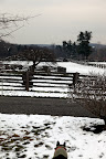Sharkey, snow is very cold but very magical.