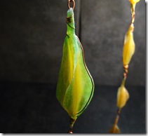 IMG_2309 IMG_2309