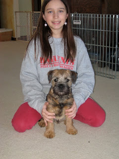 Baby "Rocket"
in his new forever home.
Mardi / Stevie litter