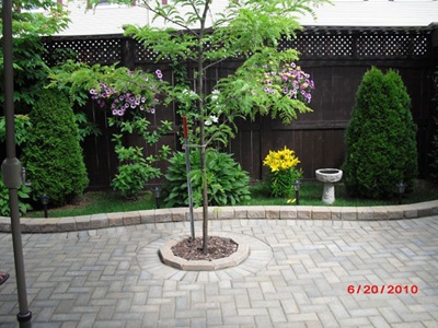 025-3-resized