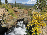 View from the stream