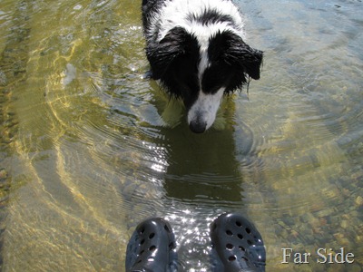 Feet in the water