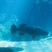 me and B trip to boston and ga aquarium 126.JPG