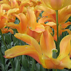 DSCN6843.JPG