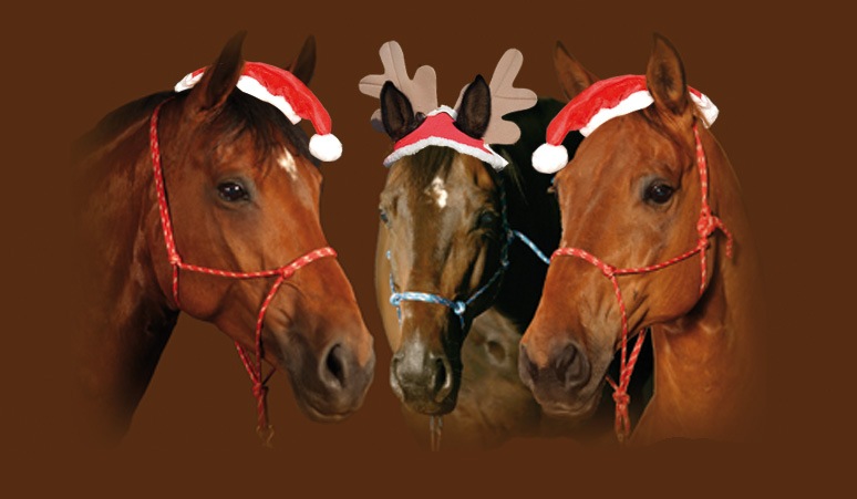 [Pferde-weihnachten1%255B3%255D.jpg]