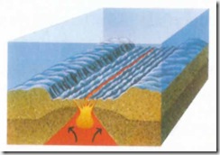 Dorsale oceanica (3)