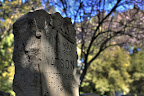 Graveyard_3.jpg