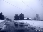 Sunset Ridge, Renton Washington 1/20/2012 Yay! Making it home. Some really nice person cleared the way.