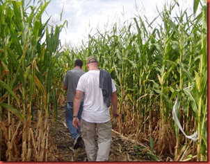 Corn Maze and Campers 002