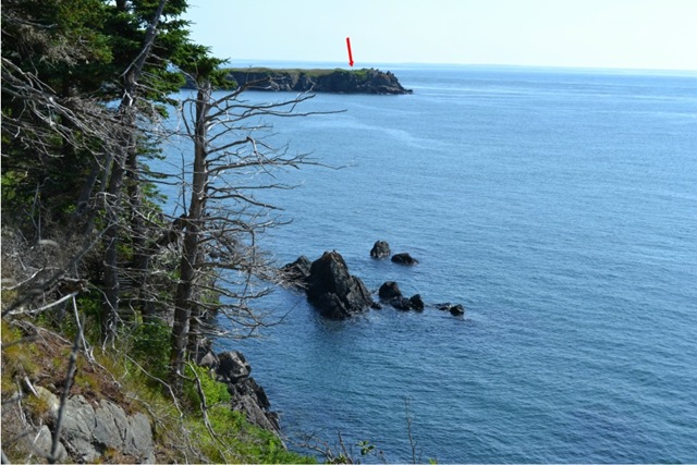 DSC_0002-2-mi DSC_0002-2-mi