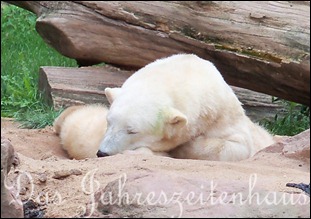 tiergarten 16