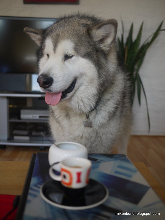 [Coffee%2520at%2520Hugh%2527s%255B9%255D.jpg]