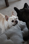 HEY! What do you mean YOUR blog - it's OUR blog and I had my eye on that computer first!