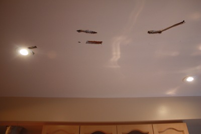 [IMG_8157%255B2%255D.jpg]