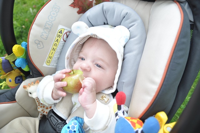 [DSC_4212%255B3%255D.jpg]