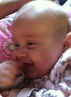 IMG_0681 IMG_0681