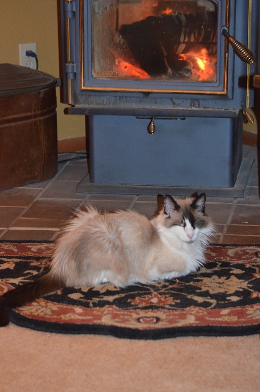 [Jeremy%2520at%2520the%2520fire%2520%25286%2529%255B2%255D.jpg]