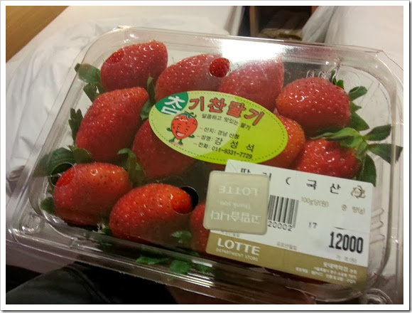 2013年首爾之旅_Day4_100