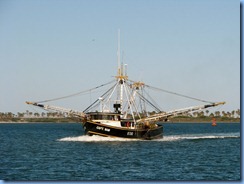 6953 Texas, South Padre Island - Osprey Cruises - Sea Life Safari  - shrimper