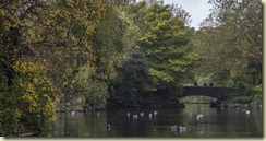 08.Dublin. St. Stephen's Green - Otoo, Autumn 08.Dublin. St. Stephen's Green - Otoo, Autumn