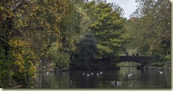 08.Dublin. St. Stephen's Green - Otoo, Autumn