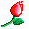 Flor Flor