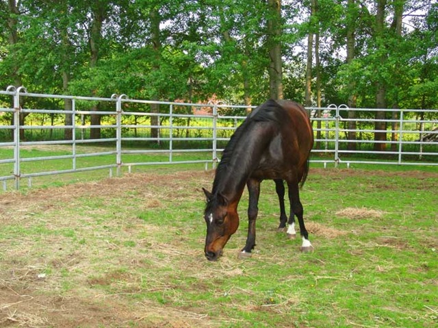 [CIMG7901%255B1%255D.jpg]