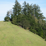 Mt. Tamalpais 3-20-2010