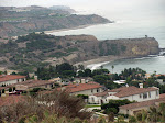 IMG_8110.JPG