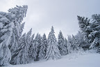 _MG_5354.jpg
