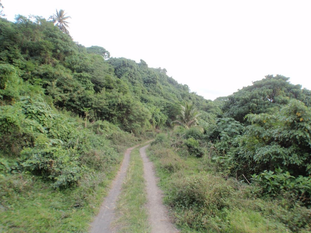 [P71504413.jpg]
