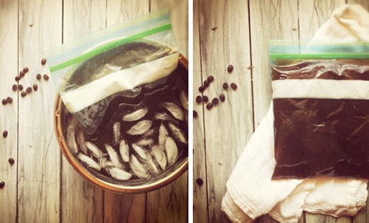 [clip_image007%255B4%255D.jpg]