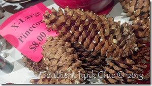 bobby's pine cones