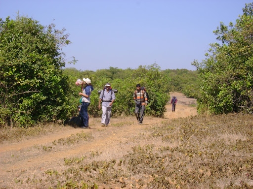 Jungli Jaigad