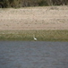 View album
