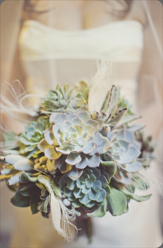 00833 holly flora and our labor of love by heidi