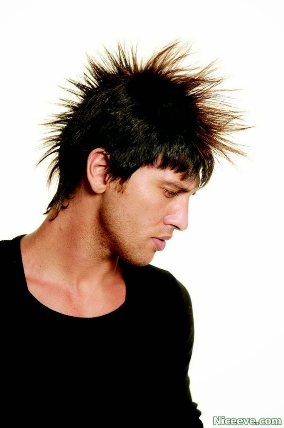 Hair styles 2014 Feathered Hairstyles img16b27e86c752977511440a8da8e7de2b.jpg