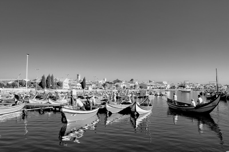DSC_0012_01