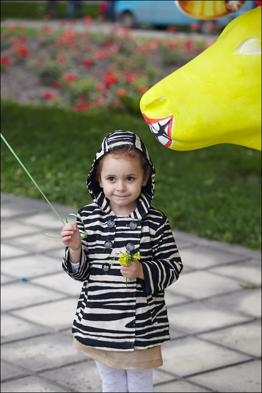 IMG_7151.jpg