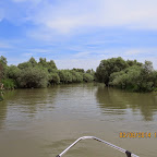 IMG_5232.JPG