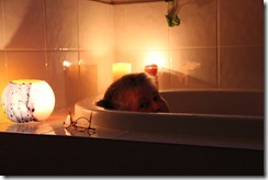 IMG_0805 IMG_0805