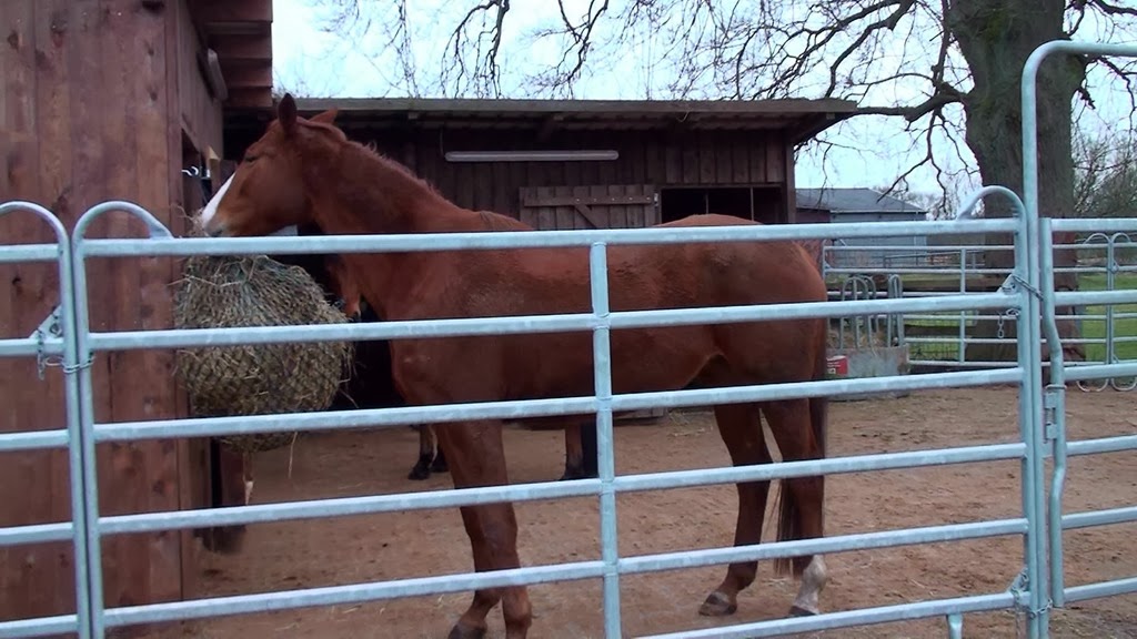 [20140219172221-%25281%2529%255B6%255D.jpg]