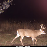 Cdy00056.JPG