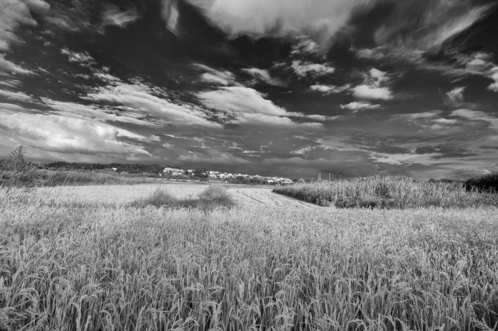 [AMC_3523bw%255B6%255D.jpg]