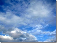 IMG_0008 IMG_0008