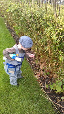 Stopping to smell the roses