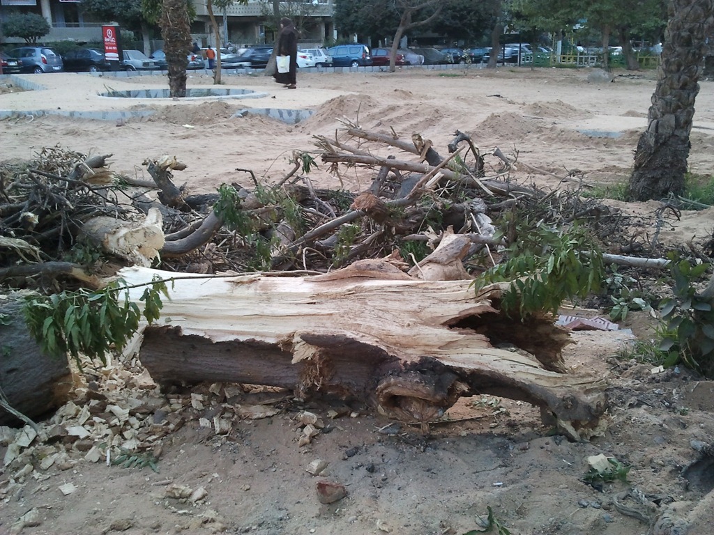 [2012-01-19%252017.04.40%255B3%255D.jpg]